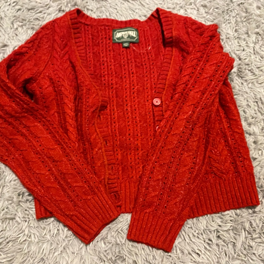 American Eagle Cardigan